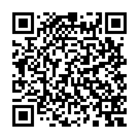 QR code for plate 99W 119