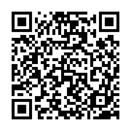 QR code for plate 99W 763