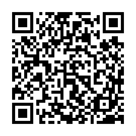 QR code for 99X 663