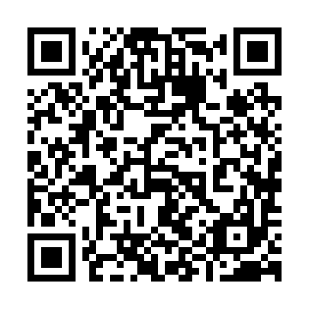 QR code for plate 99X 297