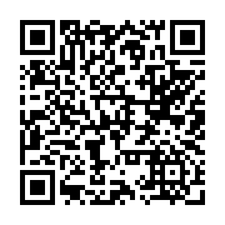 QR code for plate 99Y 697
