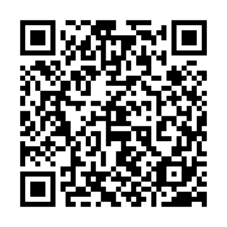 QR code for plate 99Y 870