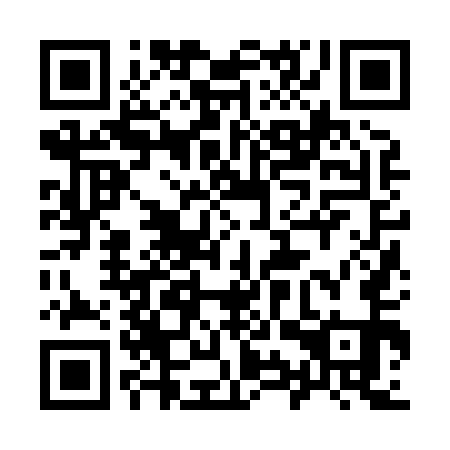 QR code for plate 99Z 851