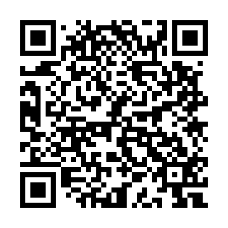 QR code for plate 9AK 513
