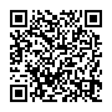QR code for 9AP333