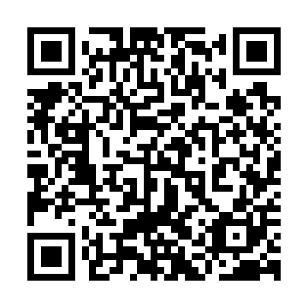 QR code for plate 9AW 700