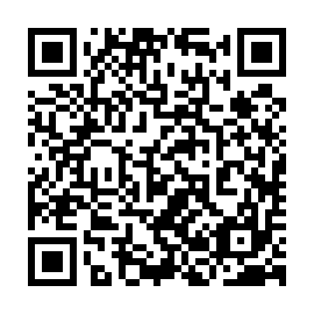 QR code for plate 9B 2517