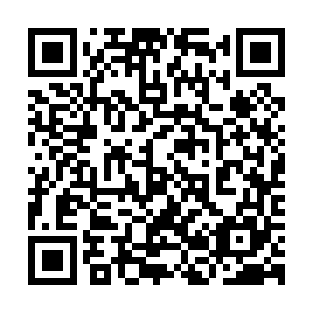QR code for plate 9B 3065