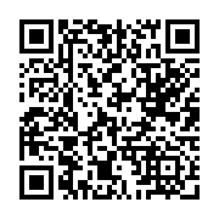 QR code for plate 9B 6313