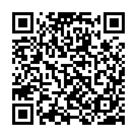 QR code for plate 9B 6960