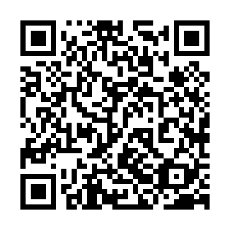 QR code for plate 9BH 029