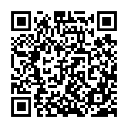 QR code for 9CT 666