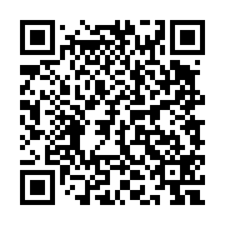 QR code for plate 9DD 419
