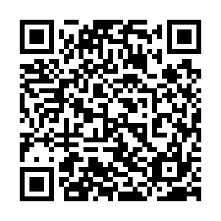QR code for plate 9DE 737