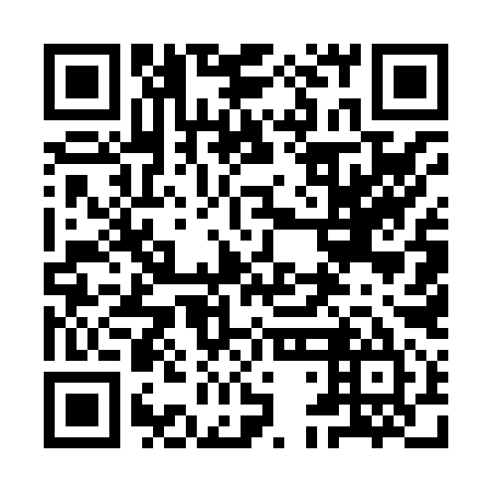 QR code for plate 9DE 895