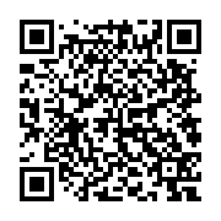 QR code for plate 9DF 533