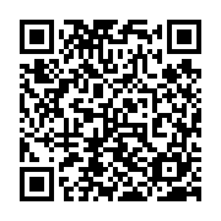 QR code for plate 9DM 665