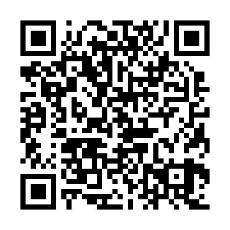 QR code for 9DS 229