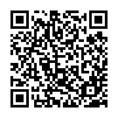 QR code for 9DS 686