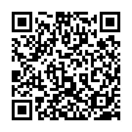 QR code for plate 9DU 711