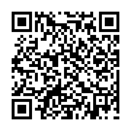QR code for 9DV 247
