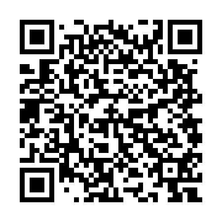 QR code for plate 9DV 510