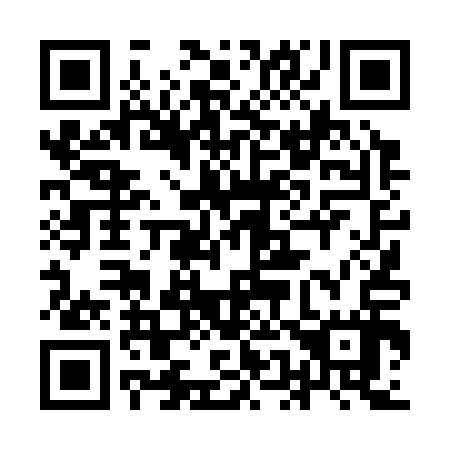 QR code for 9E 4317