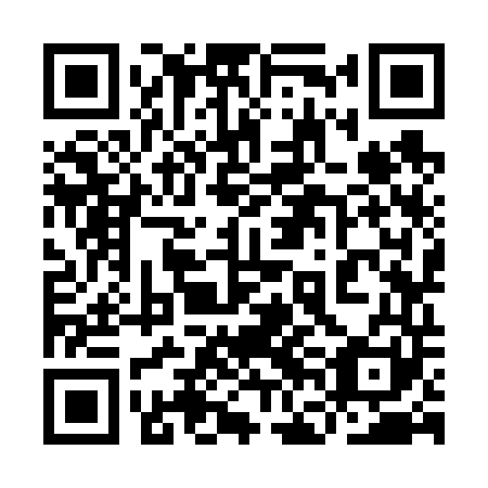 QR code for plate 9FK 641