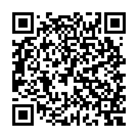 QR code for plate 9G 5381