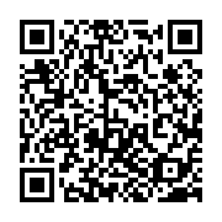 QR code for plate 9HD 119
