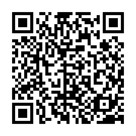 QR code for plate 9I 1131