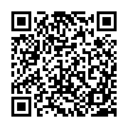 QR code for plate 9I 3867