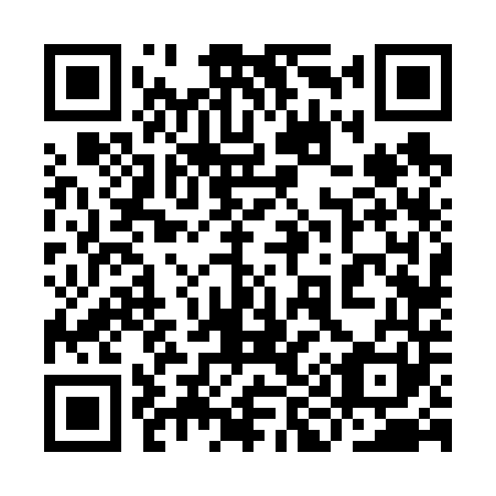 QR code for plate 9I 6641