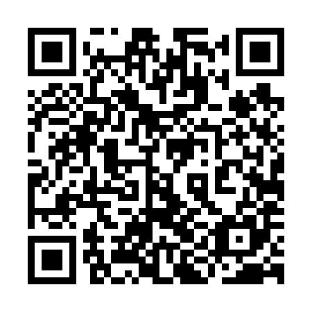 QR code for plate 9ID 685