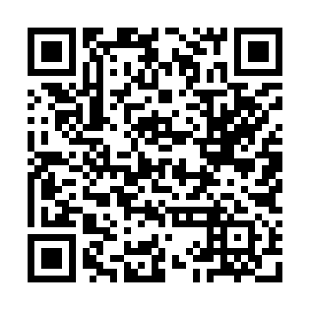QR code for 9IM 991