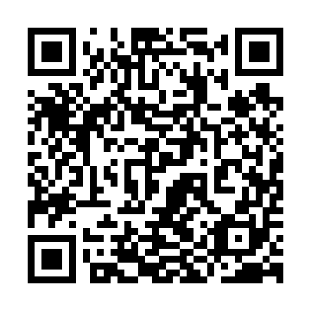 QR code for plate 9IQ 650