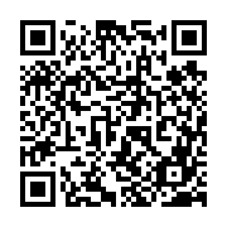 QR code for plate 9IU 666