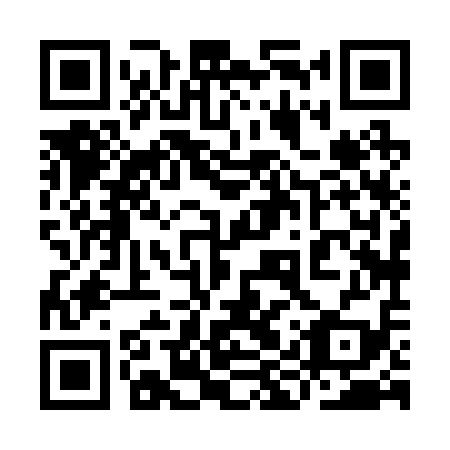 QR code for 9IX 219