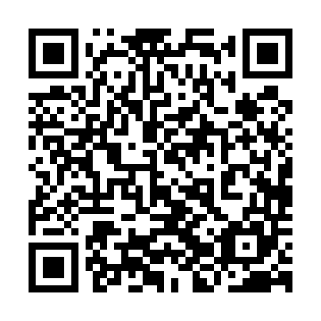 QR code for plate 9JP 545