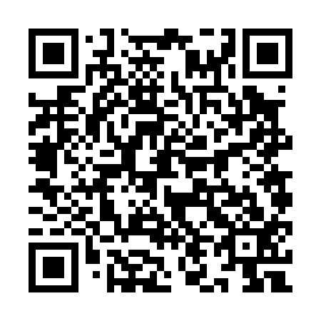 QR code for 9L 6013