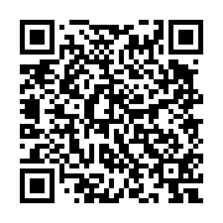 QR code for plate 9L 0411
