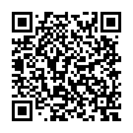 QR code for 9L1595
