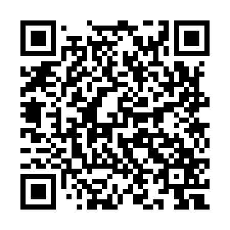QR code for plate 9L 3967