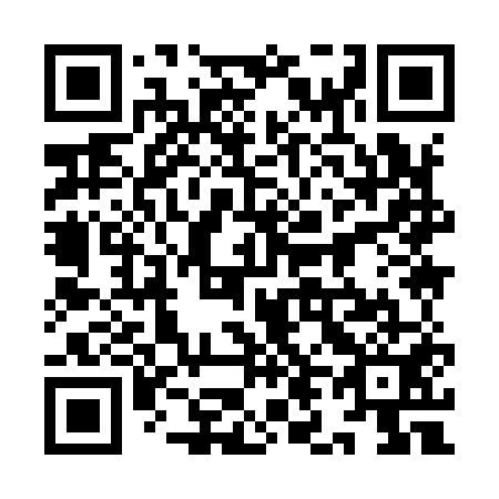 QR code for 9L9951