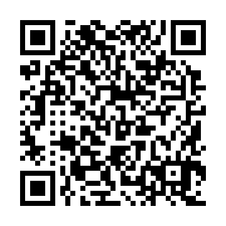 QR code for 9LI 384