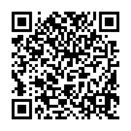 QR code for plate 9LM 786
