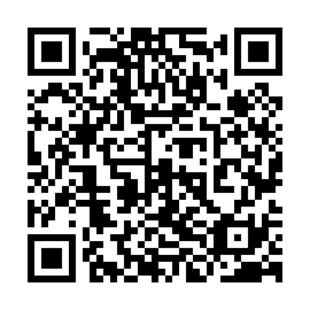QR code for plate 9LN 031