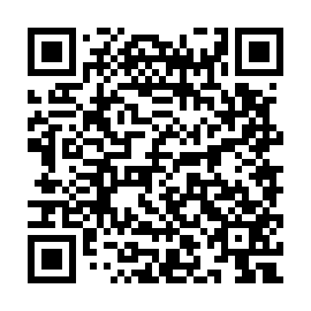 QR code for plate 9LN 553