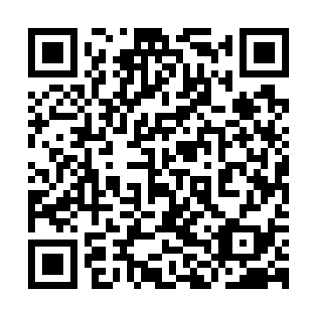 QR code for 9LU 739