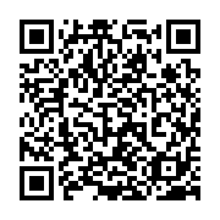 QR code for 9MI 311
